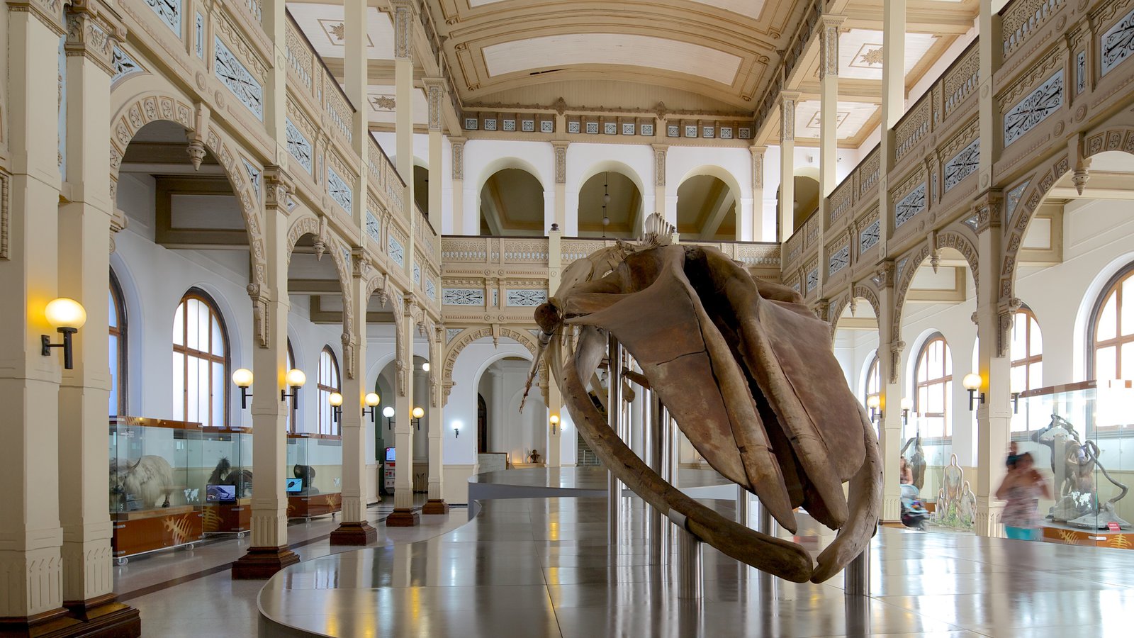 Chilean National Museum Of Natural History Chilean National Museum Of Natural History